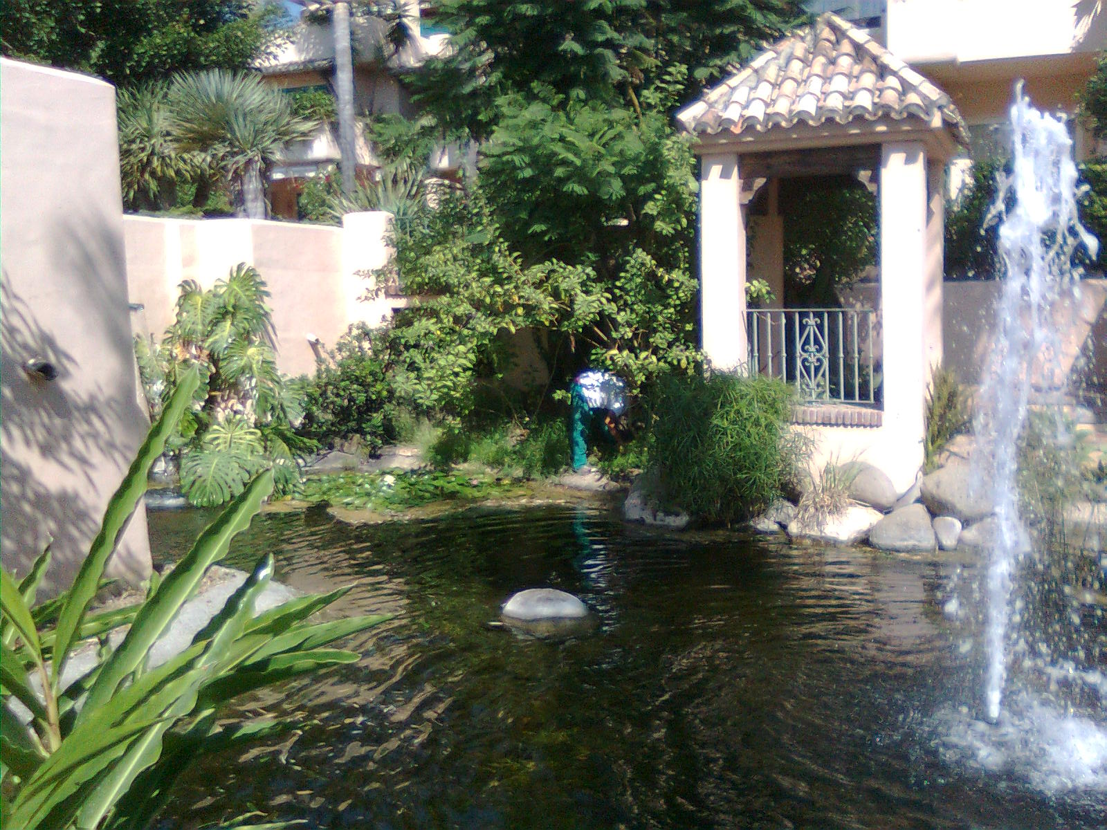 Alcazaba Beach Houses 