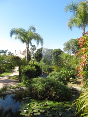 Alcazaba Beach Houses 
