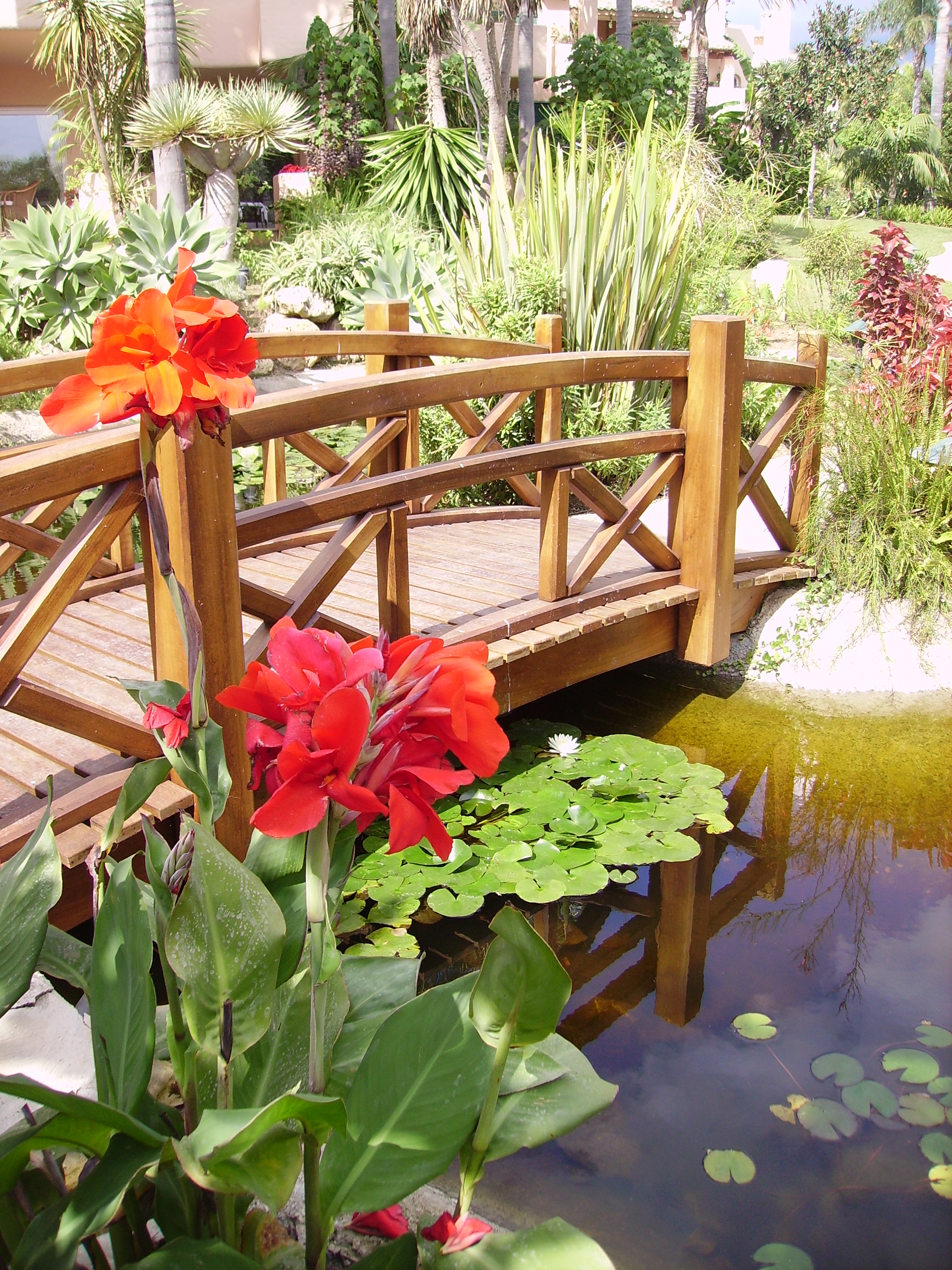 Alcazaba Beach Houses 