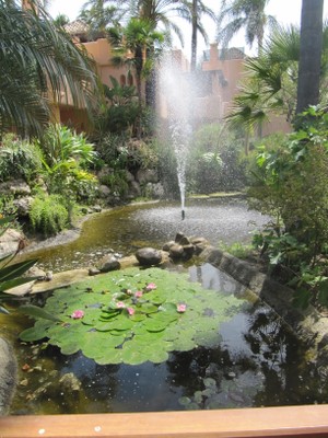 Alcazaba Beach Houses 
