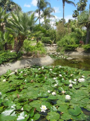Alcazaba Beach Houses 
