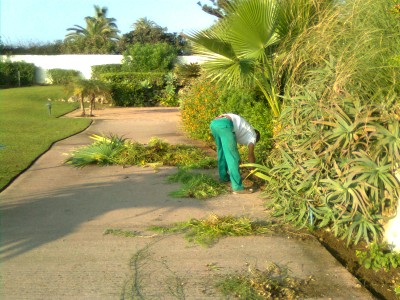 Alcazaba Beach Houses 