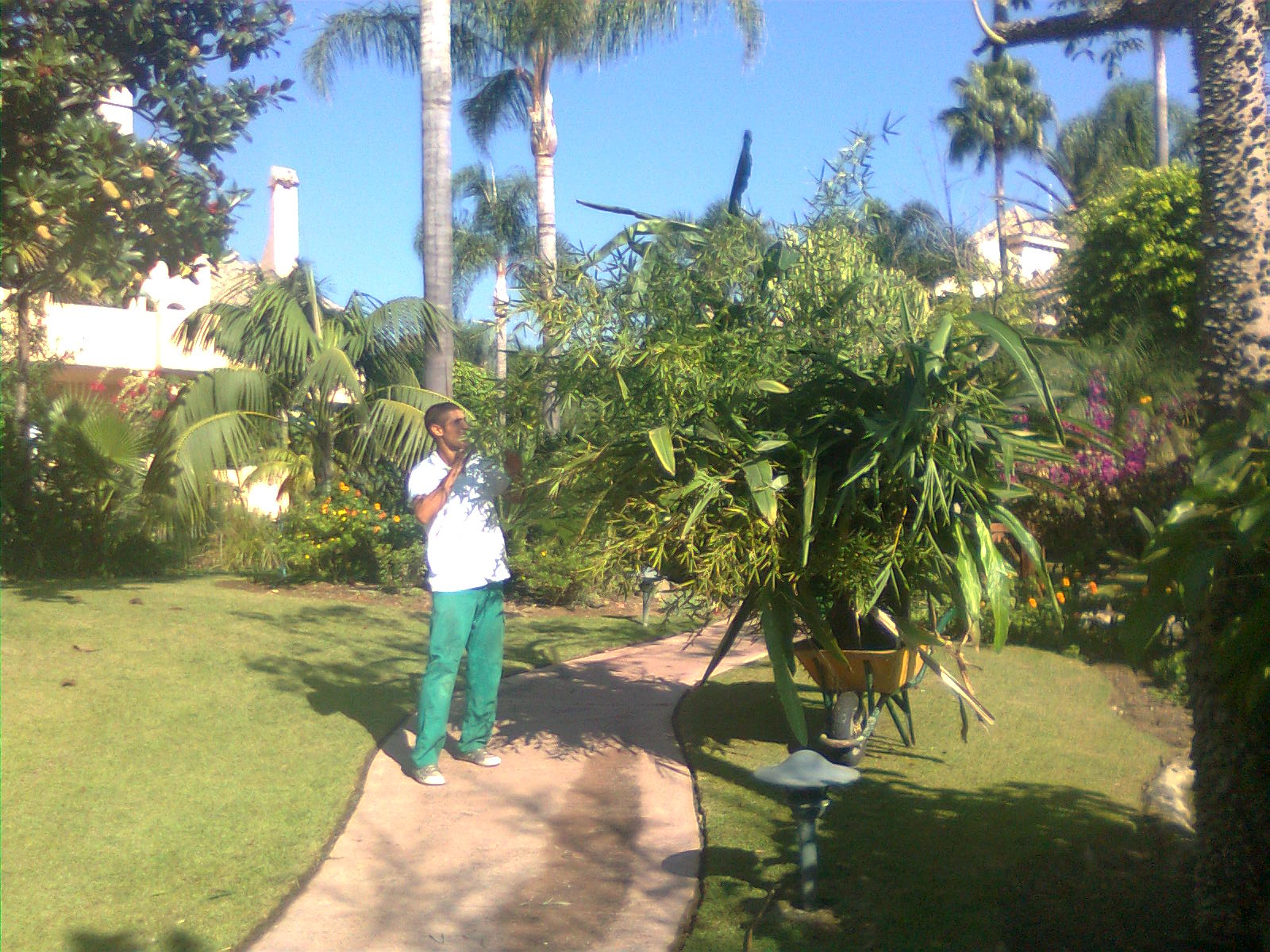 Alcazaba Beach Houses 